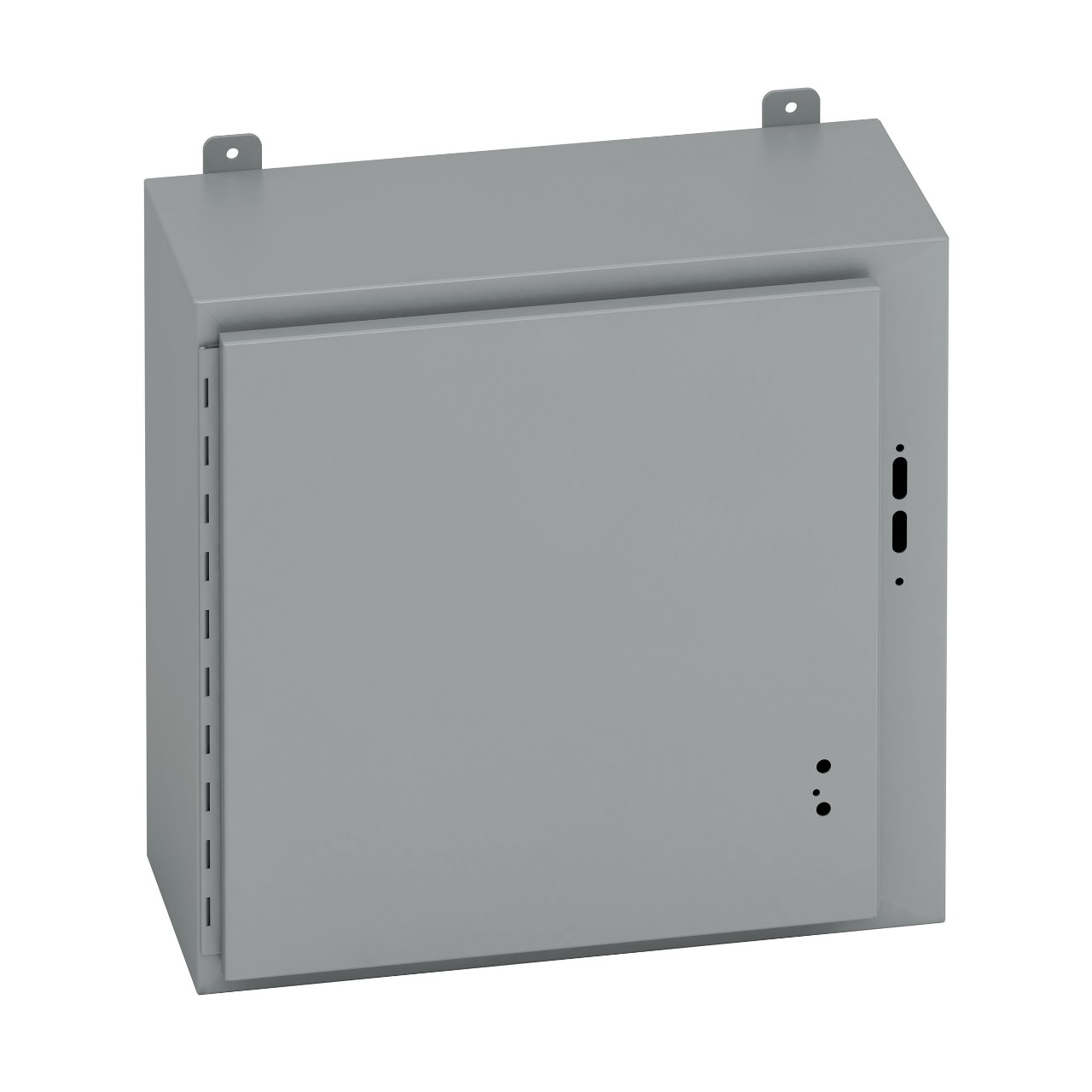 Type 12 flange wall mount enclosure