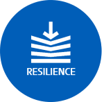 resilience-icon.png