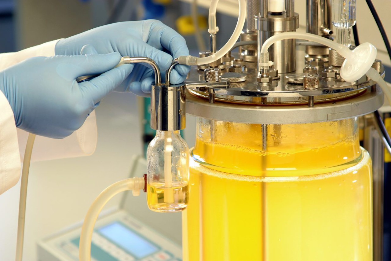 Life Science biotechnology pharma