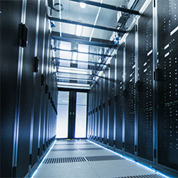 250x250-hall.jpg