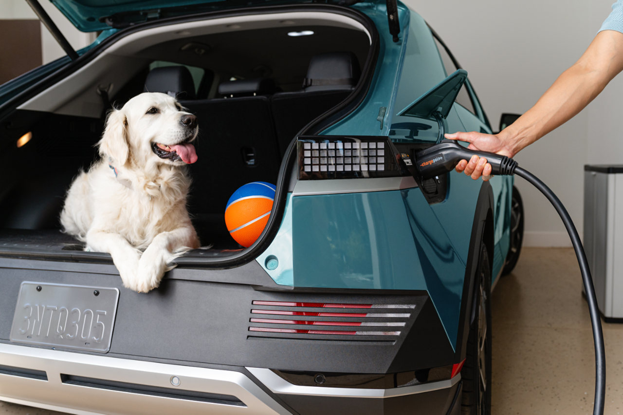 ChargePoint Home Flex plugging in with dog