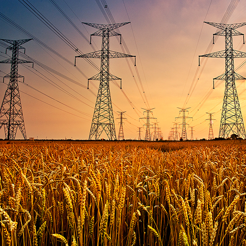transmission-lines-wheat-field.jpg