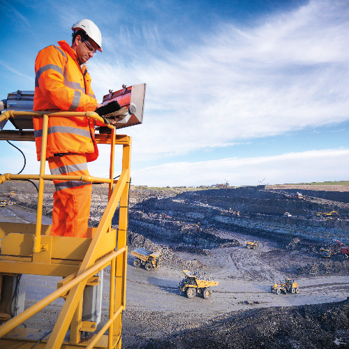 Ecologists examining coal mine site